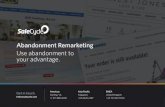 Abandonment Remarketing - d34w0339mx0ifp.cloudfront.netd34w0339mx0ifp.cloudfront.net/global/wp-offload/... · Abandonment Remarketing Use abandonment to your advantage. Americas Sterling,