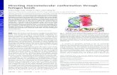 Directing macromolecular conformation through halogen bondsDirecting macromolecular conformation through halogen bonds Andrea Regier Voth, Franklin A. Hays*, and P. Shing Ho ... is