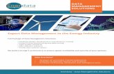 Enerdata Data Management Solutions Brochure - … · Enerdata - Data Management Solutions DB Book XLS Turnkey Solution Enerdata can either deliver a turnkey solution or assist you