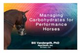 Managing Carbohydrates for Performance Horsesdenton.agrilife.org/files/2013/08/carbs-for-performance-horses.pdf · Feeding Guidelines to Maximize Glucose Metabolism ðüFeed at least