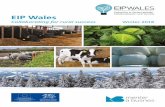 EIP Wales...EIP Wales offers the chance for farmers and foresters to invest in what is known, the knowledge and innovation that has come from research, to ensure long-term productivity.