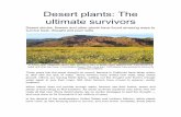 Desert plants: The ultimate survivors - esalq.usp.br · Desert plants: The ultimate survivors Desert shrubs, flowers and other plants have found amazing ways to survive heat, drought