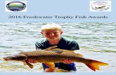 2016 Freshwater Trophy Fish Awards - portal.ct.gov · FRESH WATER CONNECTICUT TROPHY FISH AWARDS SPECIES NAME OF WATER BODY: WEIGHT-LENGTH lbs. ozs. Inches ANGLER DATE CATCH & RELEASE