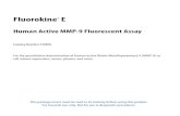 Human Active MMP-9 Fluorescent Assay Human Active MMP-9 Fluorescent Assay ... MMP-9 can increase or