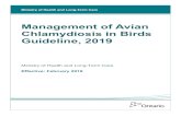 Management of Avian Chlamydiosis in Birds Guideline, 2019health.gov.on.ca/en/pro/programs/publichealth/oph... · 2019-04-08 · Management of Avian Chlamydiosis in Birds Guideline,