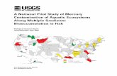 A National Pilot Study of Mercury Contamination of …...Along Multiple Gradients: Bioaccumulation in Fish Abstract: Water, sediment, and fish were sampled in the summer and fall of