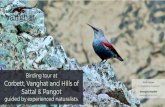 Birding tour at Corbett, Vanghat and Hills of Wallcreeper · Corbett National Park and Hills, Uttarakhand. Landscape Broad-leafed & riverine hill forest and river valleys of Vanghat
