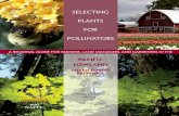 Selecting Plants for Pollinators - Pollinator Partnership · natural vegetation provided continuous cover and adjacent feeding opportunities for wildlife, including pollinators. In