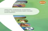 ONSLOW TOWNSITE STRATEGY FLORA, …...LANDCORP –Onslow Townsite Strategy Flora, Vegetation and Fauna Assessment Page iii J100505‐001‐CS (8‐9‐2011) EXECUTIVE SUMMARY ENV.Australia