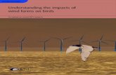 Understanding the impacts of wind farms on birds · flying birds (Johnston et al. 2014). These distributions can be incorporated in collision risk models where they produce more realistic