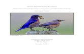 Western Bluebird Nesting Box Project - University of Victoria · Species Profile The majestic Western bluebird (Sialia mexicana) is a member of the thrush family, known for its one-noted