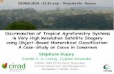 Discrimination of Tropical Agroforestry Systems in …agritrop.cirad.fr/573898/1/document_573898.pdfDiscrimination of Tropical Agroforestry Systems in Very High Resolution Satellite