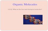 Organic Molecules - Tulpehocken Area School District Molecules.pdf · Protein - Functions Structural proteins – for support Making webs.Keratin is the protein of hair, horns and