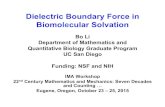 Dielectric Boundary Force in Biomolecular Solvation · Dielectric Boundary Force in Biomolecular Solvation Bo Li Department of Mathematics and ... Eugene, Oregon, October 23 – 25,