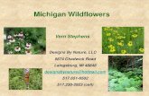 Vern Stephens - Van Buren County, MichiganMichigan Wildflowers Vern Stephens Designs By Nature, LLC 9874 Chadwick Road Laingsburg, MI 48848 designsbynature@hotmail.com 517.651-6502