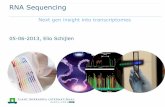 RNA Sequencing - Netherlands Bioinformatics Centre€¦ · From next to 3rd generation sequencing ... Ion proton idem Pacbio dsDNA sequence template •Single molecule/polymerase