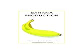 BANANA PRODUCTION - Agricultural Research Council Library/Cultivating Banana... · Plan your banana production well. Farming with bananas is farming for profit. 2 CALENDAR/YEAR PLANNER