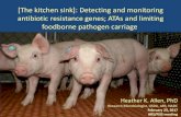 [The kitchen sink]: Detecting and monitoring antibiotic ......Reducing foodborne pathogens in the food chain (1) • Preharvest control of STEC (E. coli O157:H7) in cattle –Develop
