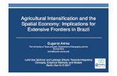 Agricultural Intensification and the Spatial Economy ... · Descriptive Stats – Croplands/Sugarcane prices • year min max sd • 2001 35 10992 2125.737 • 2002 35 13781 2473.983