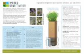 A guide to raingarden plant species selection and placement · When designing your raingarden, a holistic approach to plant selection is essential. While a primary function of stormwater