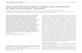 New pathophysiological insights and treatment of …...New pathophysiological insights and treatment of ANCA-associated vasculitis Benjamin Wilde1,2, Pieter van Paassen1, Oliver Witzke2