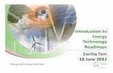 Energy Technology Roadmaps Cecilia Tam 18 June 2012 · Energy technology roadmaps 6 ° C Scenario –business-as-usual; no adoption of new energy and climate policies 2 ° C Scenario