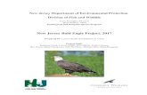 Bald Eagle Project Report, 2017 · Bald eagles, ospreys, and peregrine falcons nesting in the region exhibited some reproductive impairment relative to other areas (Steidl et al.