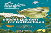 Grow a secret garden butterflies - The Wildlife Trusts a... · Butterflies, moths and their caterpillars are important in the food chain, being prey to many species of birds and bats.