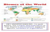 Name Period Date Biomes of the World - Wag & Pawshcmsfeffer.weebly.com/uploads/2/2/7/9/22796270/...Period_____ Date_____ Biomes of the World . KEY UNDERSTANDING...In each biome, the