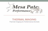 Thermal Imaging for Performance Animalsthermal images. The facility will determine how thorough of images that can be taken. Most hock, foot and leg images will have to be taken in