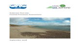 670191 Coastal Processes Assessment - Marine Scotlandmarine.gov.scot/sites/default/files/technical... · This coastal processes assessment aims to update previous assessments to reflect