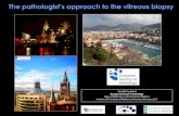 The pathologist’s approach to the vitreous biopsycpo-media.net/ECP/2019/Congress-Presentations/1453/... · 2019-10-15 · The pathologist’s approach to the vitreous biopsy ...