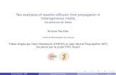 Two examples of reaction-diffusion front propagation in ...apauthie/contenu_du_site/defense.pdf · Two examples of reaction-diffusion front propagation in heterogeneous media Soutenance