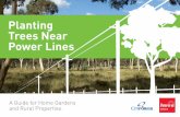 Planting Trees Near Power Lines · 2019-01-31 · Safe Planting Place low growing species nearest to or under power lines and tall growing trees further away. Figure 1 provides a