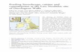 Feeding Stonehenge: cuisine and consumption at the Late ...€¦ · Feeding Stonehenge: cuisine and consumption at the Late Neolithic site of Durrington Walls Oliver E. Craig1, Lisa-Marie