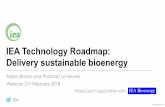 IEA Technology Roadmap: Delivery sustainable bioenergy · To deliver the roadmap vision bioenergy deployment will need to expand geographically, be utilised in a wider array of industries