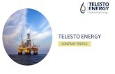 TELESTO ENERGY...HPHT Well design and Engineering, KG-Basin, India ** Multiple Fields - Due Diligence IMC Ltd KG Basin , India Multi well Petrophysical Evaluation, IMC Rajasthan, India