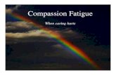 COMPASSION FATIGUE PRESENTATION--One Health (1)...What is compassion? Compassion is the deep awareness of the suffering of another, coupled with the desire to relieve it *