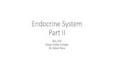 Endocrine System Part II - Napa Valley Collegenapavalley.edu/people/aross/Documents/Lec15_Endo2_219.pdf · Endocrine System Part II Bio 219 Napa Valley College Dr. Adam Ross. Endocrine
