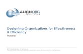 Designing Organizations for Effectiveness & Efficiency · Strategy and Marketplace Differentiation Diagnosis and Assessment Organization Design Change Leadership Leadership Alignment