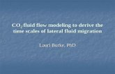 CO2 fluid flow modeling to derive the time scales of lateral fluid migration · 2019-03-04 · Flow Modeling Parameters Property Variable Value Units Viscosity 5.00E-05 kg/m·s Fluid