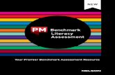 Benchmark 3 Literacy Assessment - Nelson€¦ · A first of its kind, the resource offers in-depth guidance and support to confidently assess literacy skills and strategies for Levels