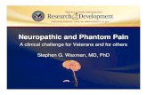 Neuropathic and Phantom Pain - research.va.gov · Neuropathic and Phantom Pain A clinical challenge for Veterans and for others Stephen G. Waxman, MD, PhD A clinical challenge for