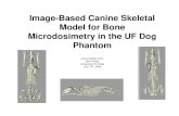 Image-Based Canine Skeletal Model for Bone Microdosimetry ...cancermeetings.org/.../Conc4/Session1/Padilla.pdf · Image-Based Canine Skeletal Model for Bone Microdosimetry in the