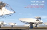 THE SQUARE KILOMETRE ARRAY (SKA) - EPFL · The Square Kilometre Array (SKA) is a next-generation radio astronomy facility that will revolutionise our understanding of the Universe