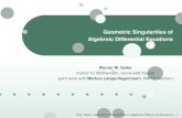 b Geometric Singularities of b Algebraic Differential ... · Introduction Algebraic Differential Equations Vessiot Distribution and Generalised Solutions Regular Differential Equations
