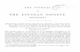 THE LINNEAN SOCIETY. - The Dragonflies: home€¦ · THE LINNEAN SOCIETY. (ZOOLOGY.) Life-Histories and Descriptions of Australian AEschninae; ... the genus AEschna in North America