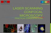 EPFL SV PTBIOP LASER SCANNING CONFOCAL MICROSCOPYbiop.epfl.ch/pdf/Courses/2015/Basics of confocal II_2015.pdfWidefield microscopy •Detector efficiency : 60%-80% •Detector noise: