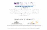 TR 15063 ABE Composites Australia Final Report · Composites Australia undertook an Asian Business Engagement (ABE) project, funded by the ... This made presentation of a coherent