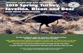 ARIZONA GAME AND FISH DEPARTMENT 2019 Spring Turkey ... · HUNT DRAW INFORMATION Javelina, Bison and Bear The 2018-19 Arizona Hunting Regulations (official rules) can be found at